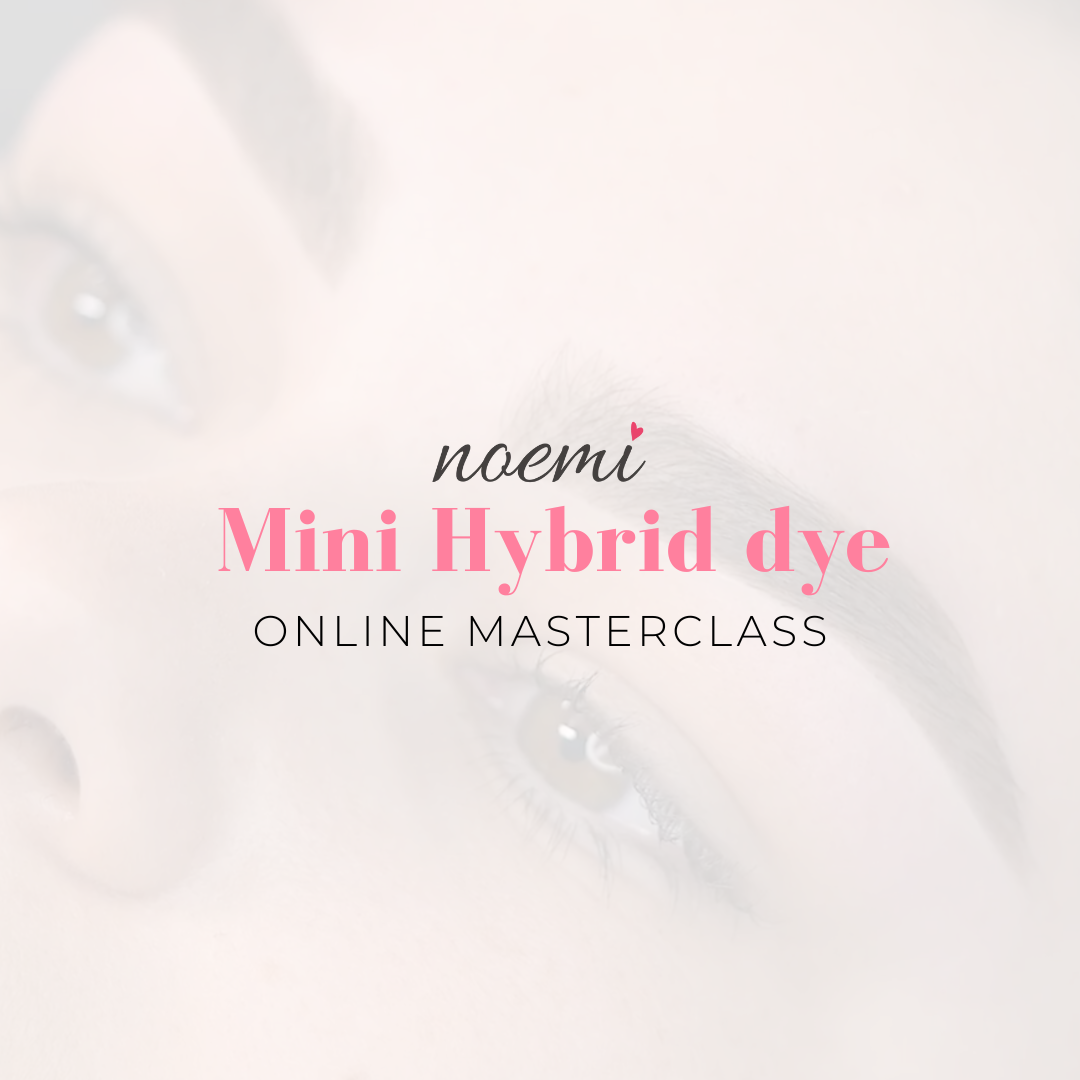 Noemi - Mini Hybrid Dye Masterclass