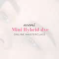 Noemi - Mini Hybrid Dye Masterclass