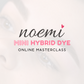 Noemi - Mini Hybrid Dye Masterclass