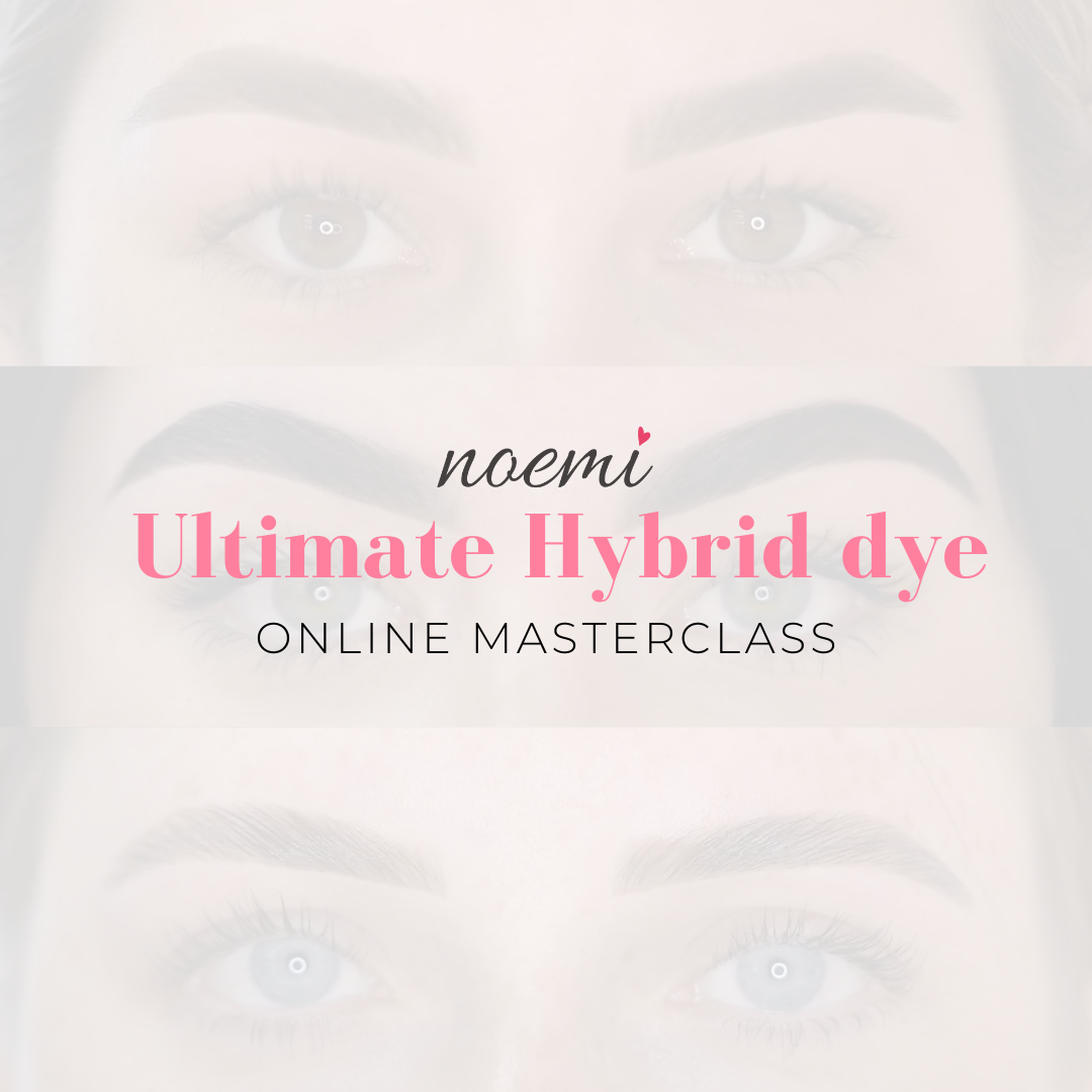 Noemi - Ultimate Hybrid Dye Masterclass