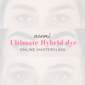 Noemi - Ultimate Hybrid Dye Masterclass